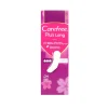 CAREFREE SALVASLIP PLUS LONG 24 PZ