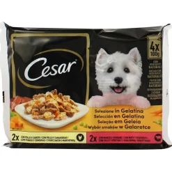 CESAR SELEZIONE IN GELATINA > POLLOeCAROTE - MANZOeVERDURE 4 BUSTE DA 100 grammi