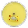 CITRONELLA INSETTICIDA RICARICA VASO ALLUMINIO ARGENTO DIAMETRO 16,5 CM