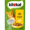 KITeKAT POLLO BUSTA 85gr