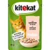KITeKAT SALMONE BUSTA 85gr