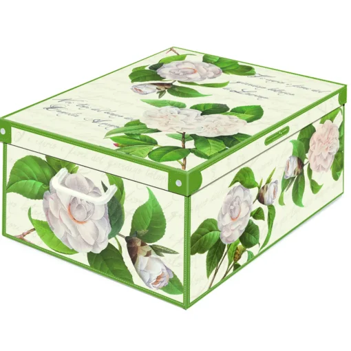 LAVATELLI SCATOLA CAMELIE 39x50x24