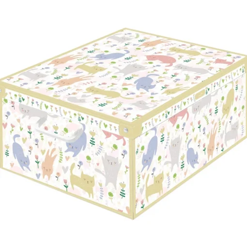 LAVATELLI SCATOLA GATTI 39x50x24