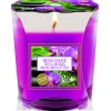 PETALI CANDELA PROFUMA AMBIENTE 45 ORE BENESSERE