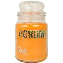 PETALI CANDELA PROFUMTA ZUCCHERIERA GRANDE 100 ORE AGRUMI