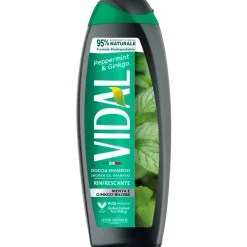 VIDAL DOCCIA SCHIUMA250 ML MINT & GINKGO