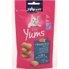 VITAKRAFT CAT YUMS MORBIDI CROCCANTINI CON SALMONE BUSTA 40 grammi