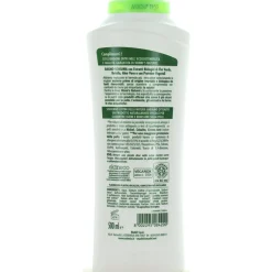 WINNI'S NATUREL THE' VERDE BAGNOSCHIUMA 500 ML